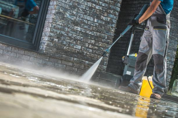 Best Patio and Deck Pressure Washing  in Barrington Hls, IL